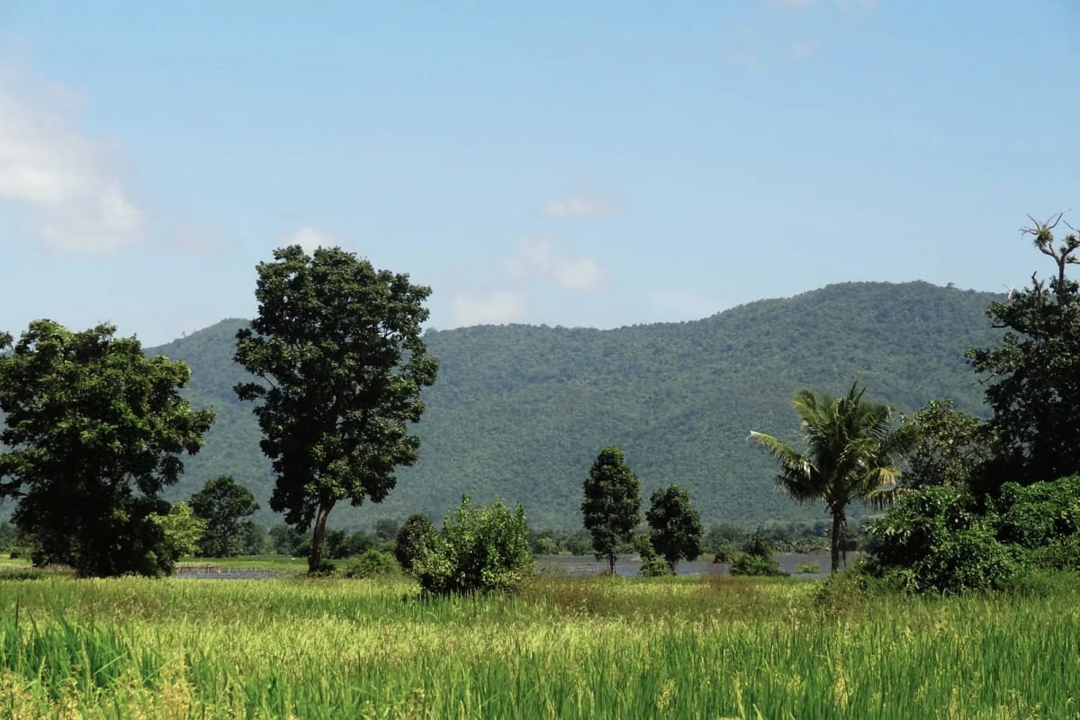 Rizières et collines boisées de l'arrière-pays de Kampot