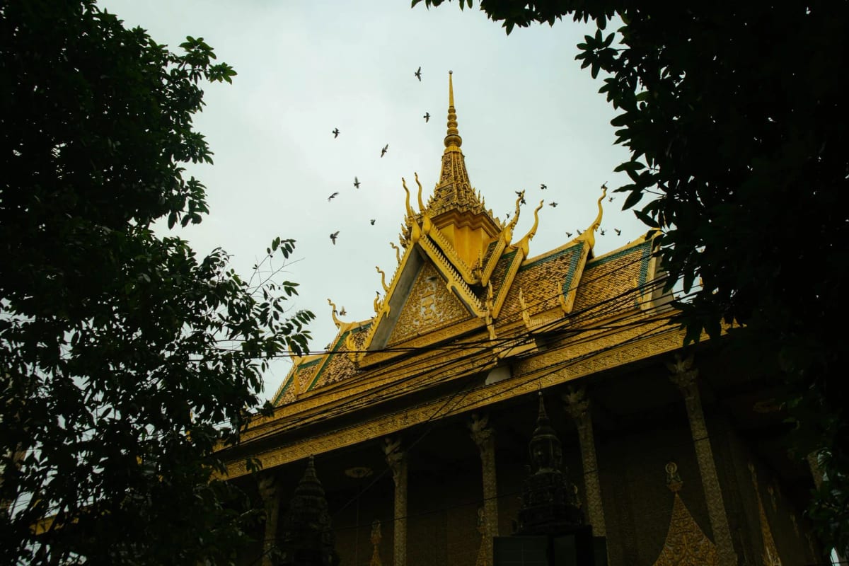 Toit doré d'une pagode de Phnom Penh survolé par des oiseaux