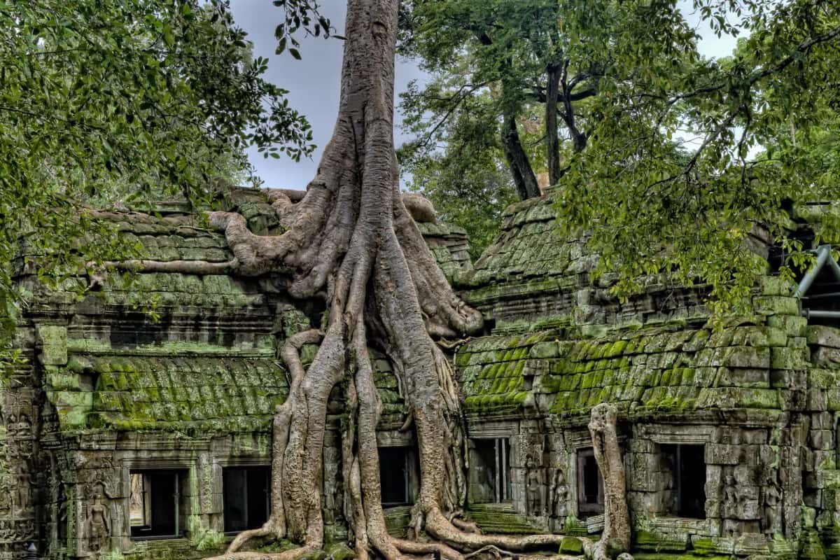 Kratie & Mékong, Cambodge
